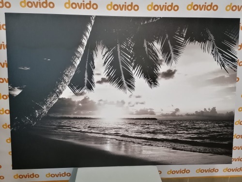 Obraz východ slnka na karibskej pláži v čiernobielom prevedení - 60x40