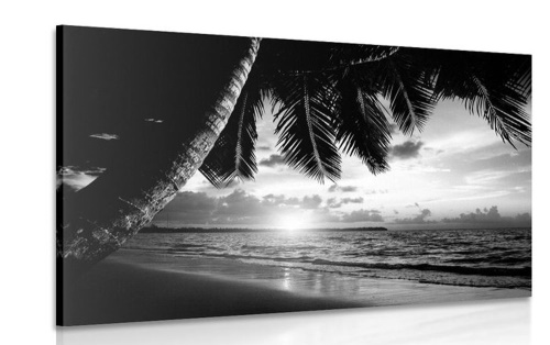 Obraz východ slnka na karibskej pláži v čiernobielom prevedení - 60x40