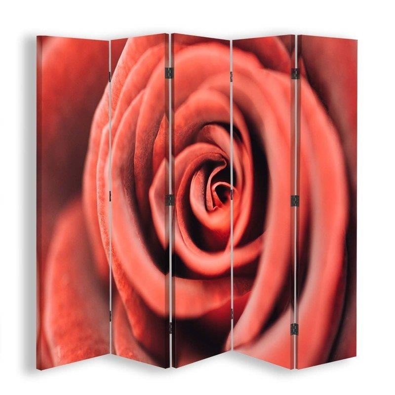 Ozdobný paraván, Květ růže v makroměřítku - 180x170 cm, päťdielny, obojstranný paraván 360°