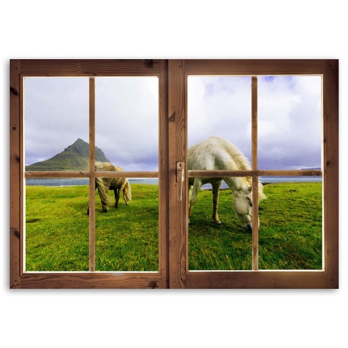 Obraz na plátně Koňská louka Pohled z okna