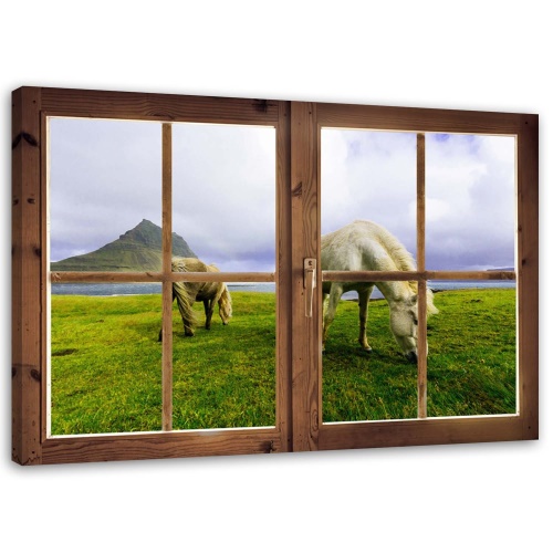 Obraz na plátně Koňská louka Pohled z okna